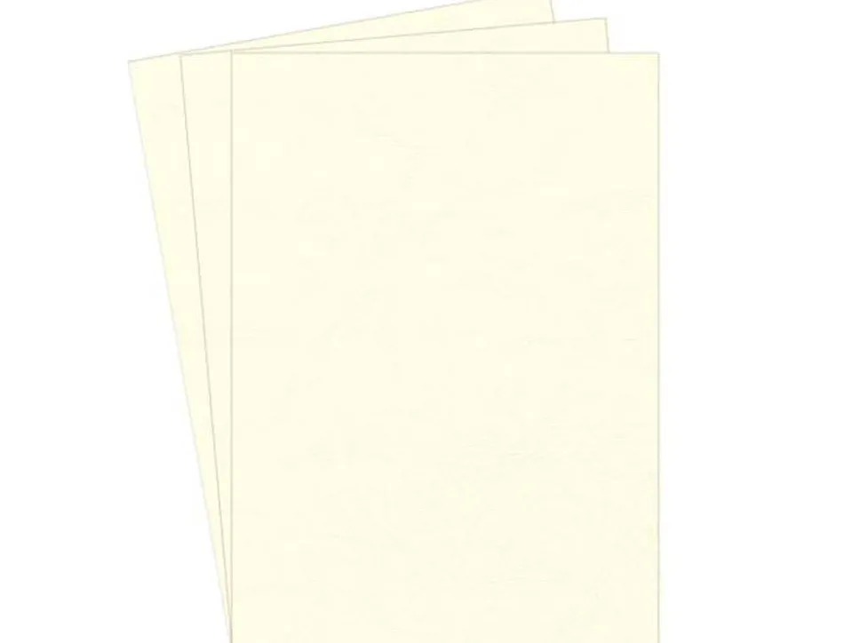 Couverture fellowes grain cuir 250g format a4 coloris ivoire paquet 100 unités