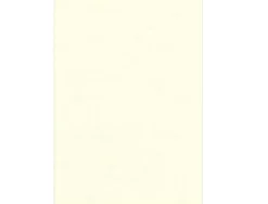 Couverture fellowes grain cuir 250g format a4 coloris ivoire paquet 100 unités