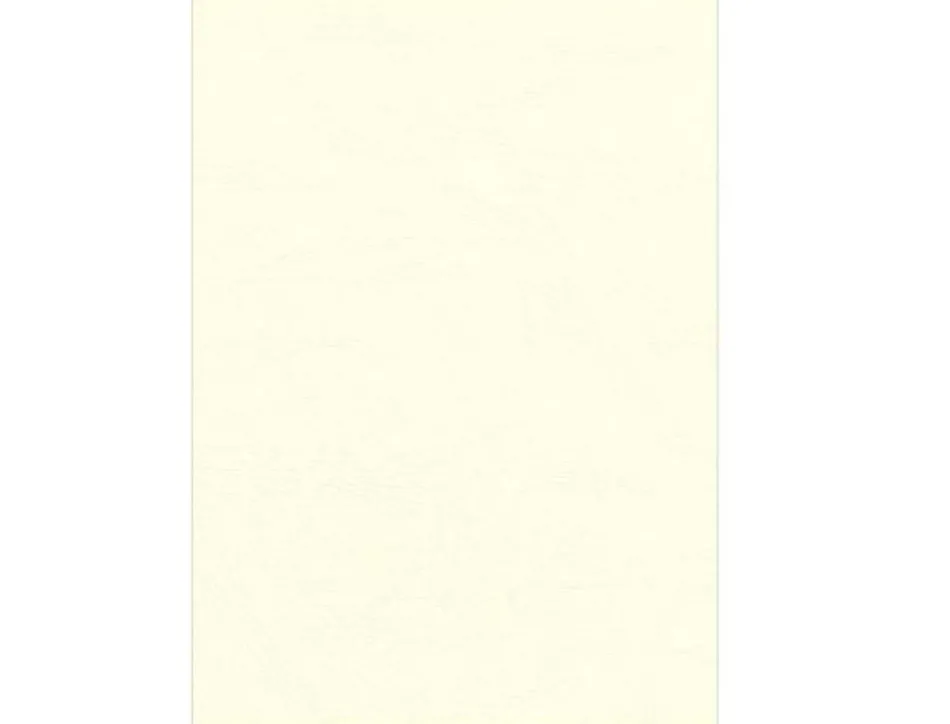 Couverture fellowes grain cuir 250g format a4 coloris ivoire paquet 100 unités