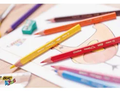 Crayon couleur bic kids evolution résine synthèse 140mm triangle gros module résiste mordillage étui carton 12 unités