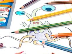Crayon de couleur bic bois fsc mine haute resistance aux chocs couleurs miscibles etui 12 unites