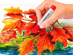 Crayons cire staedtler 2420 edition design journey pastel a l huile coloris assortis etui de 12