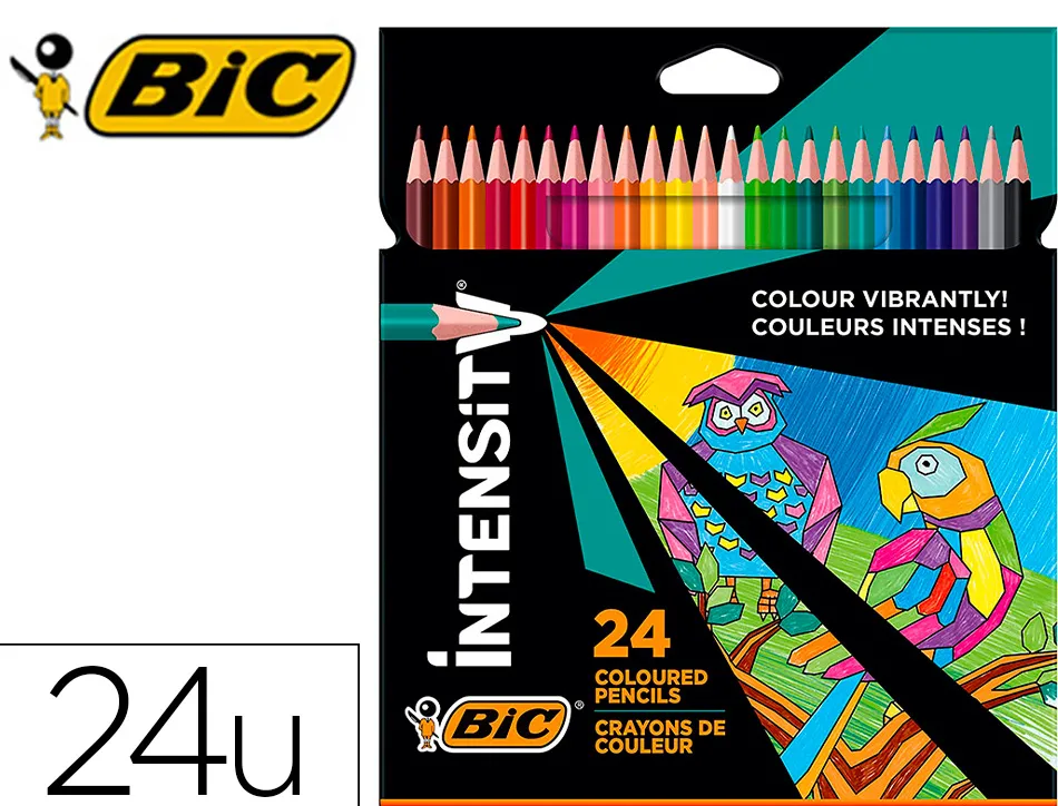Crayons couleur bic intensity up corps triangulaire pack de 24