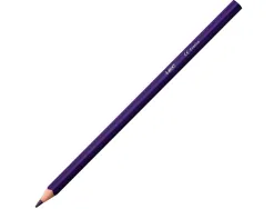 Crayons couleur bic intensity up corps triangulaire pack de 24