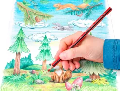 Crayons de couleur staedtler noris 187 triangulaires en bois coloris assortis etui de 24