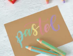 Crayons multi-talents stabilo woody 3en1 + 1 taille-crayons coloris assortis pastel etui carton