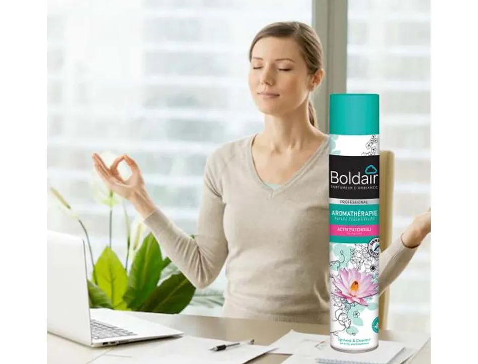 Deodorisant d atmosphere boldair activ sensitive pro personnes sensibles 500 ml