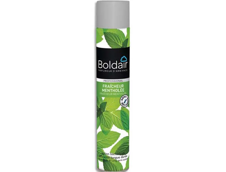 Desodorisant d atmosphere boldair fraicheur mentholee professional 500 ml