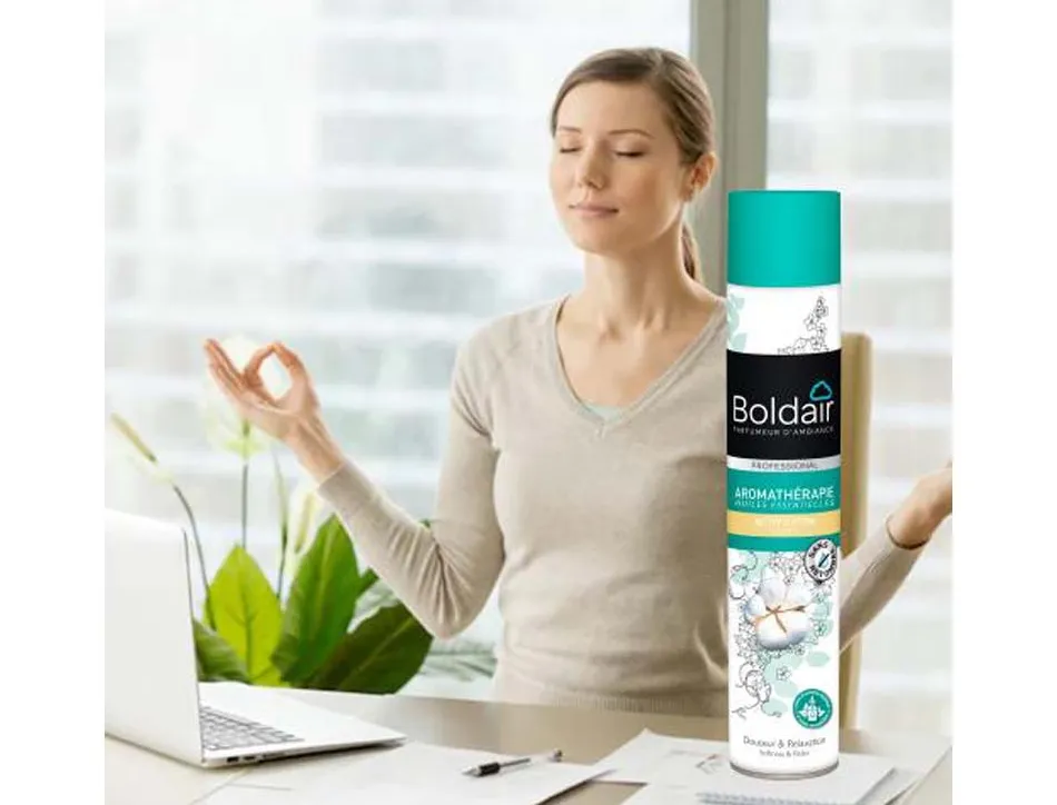 Desodorisant d atmosphere boldair activ fleur de coton professional 500 ml