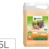 Detergent desinfectant le vrai professionnel odorisation pin des landes bidon 5 litres