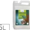 Detergent tous sols enzymatique nettoie degraisse vitres surfaces modernes parfum frais pin des landes bidon 5l