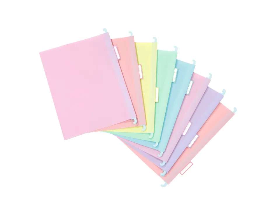 Dossier suspendu viquel rainbow pastel polypropylene coloris assortis lot 8 unites