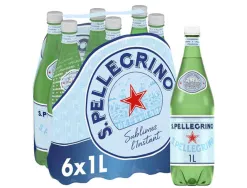 Eau gaz san pellegrino pet 1l
