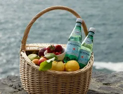 Eau gaz san pellegrino pet 33cl