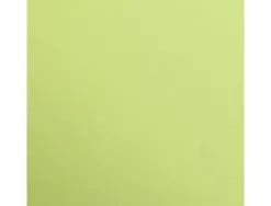 Feuille papier clairefontaine maya 270g 500x700mm coloris vert mousse paquet 25 unites