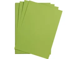 Feuille papier clairefontaine maya 270g 500x700mm coloris vert mousse paquet 25 unites