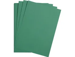 Feuille papier clairefontaine maya 270g 500x700mm coloris vert sapin paquet 25 unites