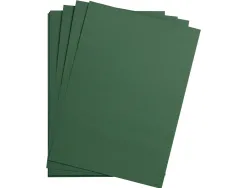 Feuille papier clairefontaine maya 270g 500x700mm coloris vert antique paquet 25 unites