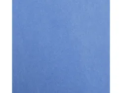 Feuille papier clairefontaine maya 270g 500x700mm coloris bleu roi paquet 25 unites