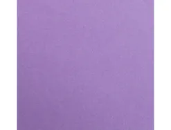 Feuille papier clairefontaine maya 270g 500x700mm coloris violet paquet 25 unites