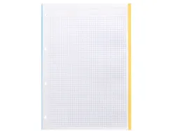 Feuillet mobile antartik a4 100 feuilles 100g quadrillage 5mm 4 trous bandes de 5 couleurs