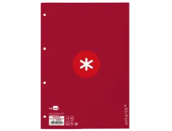 Feuillet mobile antartik a4 80feuilles 90g quadrillage 5mm 4 trous bord coloris framboise