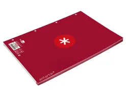 Feuillet mobile antartik a4 80feuilles 90g quadrillage 5mm 4 trous bord coloris framboise