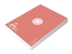 Feuillet mobile antartik a4 80feuilles 100g quadrillage 5mm 4 trous bord coloris rose