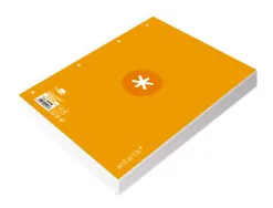 Feuillet mobile antartik a4 80feuilles 90g quadrillage 5mm 4 trous bord coloris jaune