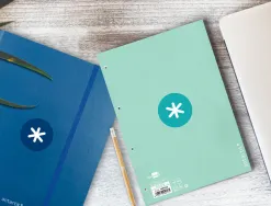 Feuillet mobile antartik a4 80feuilles 90g quadrillage 5mm 4 trous bord coloris menthe