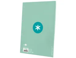 Feuillet mobile antartik a4 80feuilles 90g quadrillage 5mm 4 trous bord coloris menthe