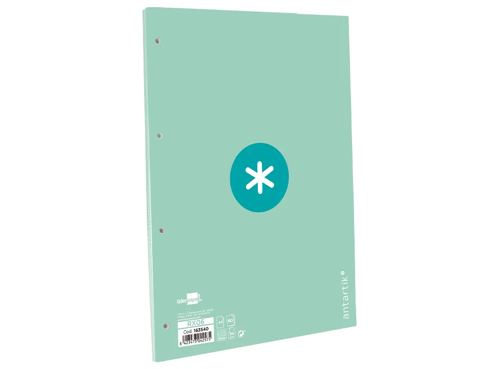 Feuillet mobile antartik a4 80feuilles 90g quadrillage 5mm 4 trous bord coloris menthe