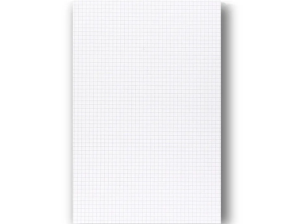Feuillet mobile clairefontaine a4 21x29,7cm papier velin veloute 150 pages 90g 5x5mm perforees sous film coloris blanc