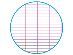 Feuillet mobile clairefontaine a4 21x29,7cm papier velin veloute 150 pages 90g seyes perforees sous film coloris blanc