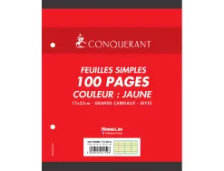 Feuillet mobile conquérant a5+ 170x220mm 100 pages 80g séyès perforé coloris jaune