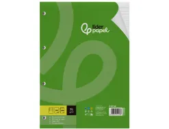Feuillet mobile liderpapel a4 perfore ligne 75g marge 4 trous paquet 100 feuilles