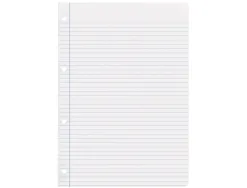 Feuillet mobile liderpapel a4 perfore ligne 75g marge 4 trous paquet 100 feuilles