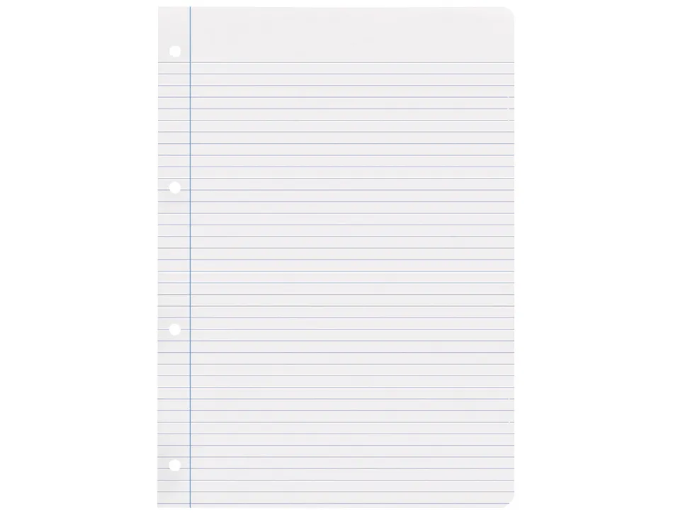 Feuillet mobile liderpapel a4 perfore ligne 75g marge 4 trous paquet 100 feuilles