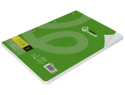 Feuillet mobile liderpapel a4 perfore ligne 75g marge 4 trous paquet 100 feuilles