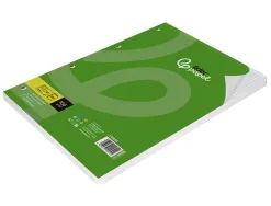Feuillet mobile liderpapel a4 perfore 5x5mm 100g marge 4 trous paquet 100 feuilles