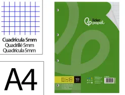 Feuillet mobile liderpapel a4 perfore 5x5mm 100g marge 4 trous paquet 100 feuilles