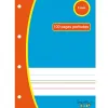 Feuillets mobiles hamelin serpodile perfores a4 100 pages double ligne 3mm niveau 3