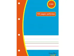 Feuillets mobiles hamelin serpodile perfores a4 100 pages double ligne 3mm niveau 3