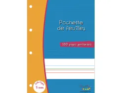 Feuillets mobiles hamelin serpodile perfores a4 100 pages double ligne 5mm niveau 2