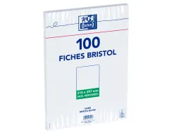Fiche bristol universelle 210x297 bloc sac h.100