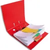 Fiche intercalaire exacompta forever trapézoïdale unie perforée 105x240mm paquet 100 unités