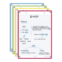Fiches bristol oxford revision 2.0 a5 perforee 32 fiches/film q5x5 couleur assorties