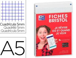Fiches bristol oxford revision 2.0 a5 perforee 32 fiches/film q5x5 cadre blanc