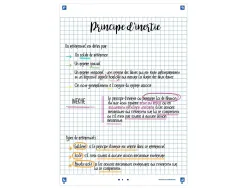 Fiches bristol oxford revision 2.0 a5 perforee 32 fiches/film q5x5 cadre blanc