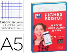 Fiches bristol oxford revision 2.0 a5 perforee 32 fiches/film q5x5 carton assorti